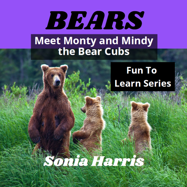 Bears book front cover