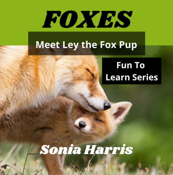 Foxes book front cover