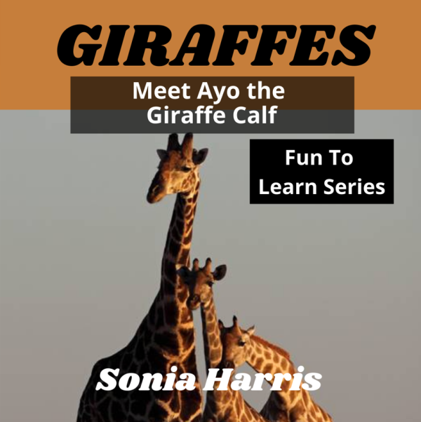 Giraffes book front cover